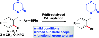 Graphical abstract: Palladium(ii)-catalysed ortho-arylation of N-benzylpiperidines