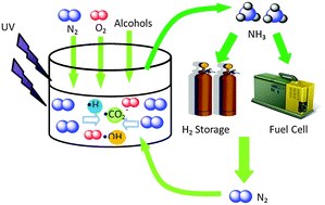 Graphical abstract: Enhanced quantum yield of nitrogen fixation for hydrogen storage with in situ-formed carbonaceous radicals