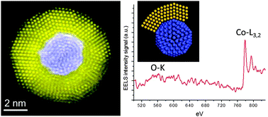 Graphical abstract: A novel Co@Au structure formed in bimetallic core@shell nanoparticles