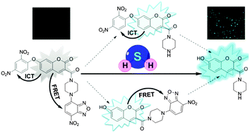 Graphical abstract: A FRET–ICT dual-quenching fluorescent probe with large off–on response for H2S: synthesis, spectra and bioimaging
