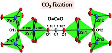 Graphical abstract: Linearly bridging CO2 in a metal–organic framework
