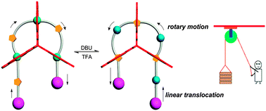 Graphical abstract: A molecular pulley based on a triply interlocked [2]rotaxane