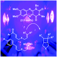 Graphical abstract: Tailoring flavins for visible light photocatalysis: organocatalytic [2+2] cycloadditions mediated by a flavin derivative and visible light