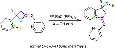 Graphical abstract: A rhodium(i)-catalysed formal intramolecular C–C/C–H bond metathesis