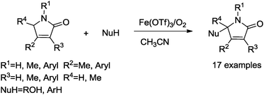 Graphical abstract: Iron-catalyzed aerobic C–H functionalization of pyrrolones