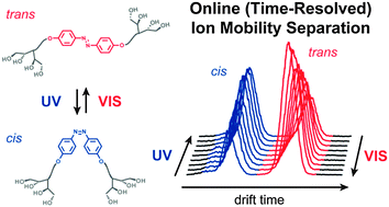 Graphical abstract: Online monitoring the isomerization of an azobenzene-based dendritic bolaamphiphile using ion mobility-mass spectrometry