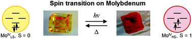 Graphical abstract: First evidence of light-induced spin transition in molybdenum(iv)