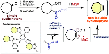 Graphical abstract: Generation of cycloheptynes and cyclooctynes via a sulfoxide–magnesium exchange reaction of readily synthesized 2-sulfinylcycloalkenyl triflates