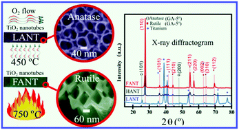 Graphical abstract: Rutile phase n- and p-type anodic titania nanotube arrays with square-shaped pore morphologies