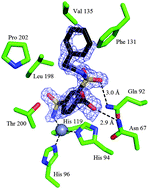 Graphical abstract: X-ray crystallography-promoted drug design of carbonic anhydrase inhibitors