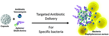 Graphical abstract: Antibiotic loaded nanocapsules functionalized with aptamer gates for targeted destruction of pathogens