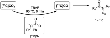 Graphical abstract: [11C]CO2 to [11C]CO conversion mediated by [11C]silanes: a novel route for [11C]carbonylation reactions