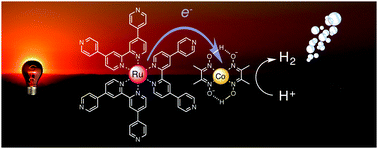 Graphical abstract: Red-light-driven photocatalytic hydrogen evolution using a ruthenium quaterpyridine complex