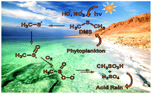 Graphical abstract: Reactions of the methylsulfinyl radical [CH3(O)S˙] with oxygen (3O2) in solid argon