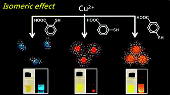Graphical abstract: The isomeric effect of mercaptobenzoic acids on the preparation and fluorescence properties of copper nanoclusters