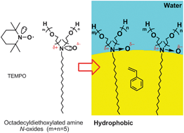 Graphical abstract: Amphiphilic tertiary amine N-oxides: a mediated radical emulsion polymerization with non-formation of alkoxyamine dormant chains