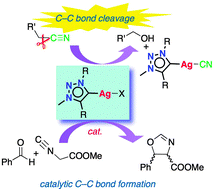 Graphical abstract: Silver(i) NHC mediated C–C bond activation of alkyl nitriles and catalytic efficiency in oxazoline synthesis
