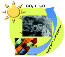 Graphical abstract: Hazardous o-toluidine mineralization by photocatalytic bismuth doped ZnO slurries