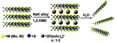 Graphical abstract: Facile and efficient exfoliation of inorganic layered materials using liquid alkali metal alloys