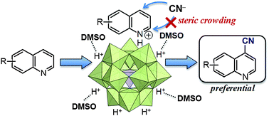 Graphical abstract: Regioselective direct oxidative C–H cyanation of quinoline and its derivatives catalyzed by vanadium-containing heteropoly acids