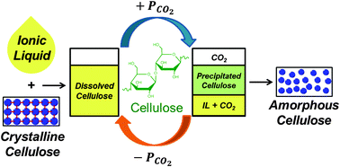 Graphical abstract: Reversible and non-reactive cellulose separations from ionic liquid mixtures with compressed carbon dioxide