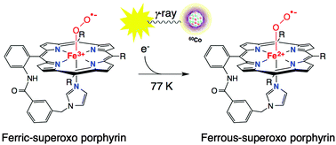 Graphical abstract: A cryo-generated ferrous–superoxo porphyrin: EPR, resonance Raman and DFT studies