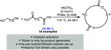 Graphical abstract: Direct synthesis of macrodiolides via hafnium(iv) catalysis