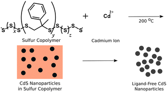 Graphical abstract: Sulfur copolymer for the direct synthesis of ligand-free CdS nanoparticles