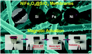 Graphical abstract: A general strategy for fabricating flexible magnetic silica nanofibrous membranes with multifunctionality