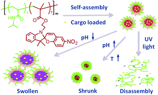 Graphical abstract: Photo, pH, and thermo triple-responsive spiropyran-based copolymer nanoparticles for controlled release