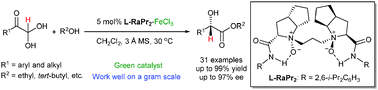 Graphical abstract: Chiral N,N′-dioxide–FeCl3 complex-catalyzed asymmetric intramolecular Cannizzaro reaction