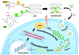 Graphical abstract: Combined chemotherapy and photodynamic therapy using a nanohybrid based on layered double hydroxides to conquer cisplatin resistance