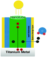 Graphical abstract: TiO2 nanotubes with ultrathin walls for enhanced water splitting