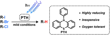 Graphical abstract: A highly reducing metal-free photoredox catalyst: design and application in radical dehalogenations