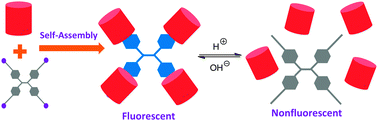 Graphical abstract: A pH-responsive fluorescent [5]pseudorotaxane formed by self-assembly of cationic water-soluble pillar[5]arenes and a tetraphenylethene derivative