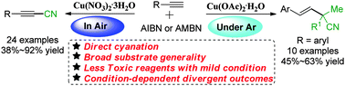 Graphical abstract: Cu-Catalyzed direct cyanation of terminal alkynes with AMBN or AIBN as the cyanation reagent