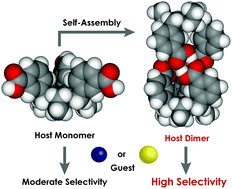 Graphical abstract: Reinforcement of guest selectivity through the self-assembly of host molecules: selective recognition of lithium ions by dimerizable tricarboxylic acids