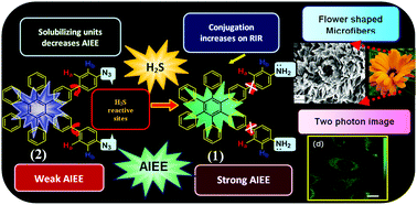 Graphical abstract: A hexaphenylbenzene based AIEE active two photon probe for the detection of hydrogen sulfide with tunable self-assembly in aqueous media and application in live cell imaging