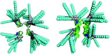Graphical abstract: Bundle-forming α-helical peptide–dendron hybrid