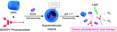 Graphical abstract: pH-Responsive supramolecular vesicles assembled by water-soluble pillar[5]arene and a BODIPY photosensitizer for chemo-photodynamic dual therapy