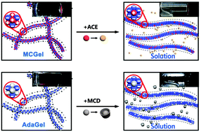 Graphical abstract: Multi-responsive supramolecular hydrogels for drug delivery