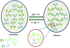 Graphical abstract: Two-component self-assembly of a tetra-guanidiniocarbonyl pyrrole cation and Na4EDTA: formation of pH switchable supramolecular networks