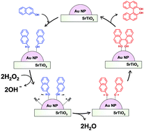 Graphical abstract: Room-temperature selective oxidation of 2-naphthol to BINOL using a Au/SrTiO3–H2O2 catalytic system