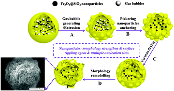 Graphical abstract: A hierarchical rippled and crumpled PLA microstructure generated through double emulsion: the interesting roles of Pickering nanoparticles