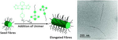 Graphical abstract: Length control of supramolecular polymeric nanofibers based on stacked planar platinum(ii) complexes by seeded-growth