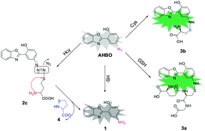 Graphical abstract: A simple excited-state intramolecular proton transfer probe based on a new strategy of thiol–azide reaction for the selective sensing of cysteine and glutathione