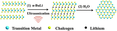 Graphical abstract: Rapid preparation of single-layer transition metal dichalcogenide nanosheets via ultrasonication enhanced lithium intercalation