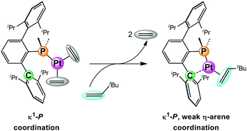 Graphical abstract: Platinum(0) olefin complexes of a bulky terphenylphosphine ligand. Synthetic, structural and reactivity studies