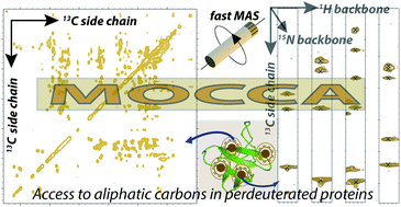 Graphical abstract: Access to side-chain carbon information in deuterated solids under fast MAS through non-rotor-synchronized mixing