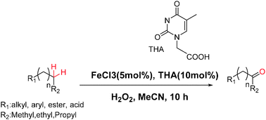 Graphical abstract: From DNA to catalysis: a thymine-acetate ligated non-heme iron(iii) catalyst for oxidative activation of aliphatic C–H bonds